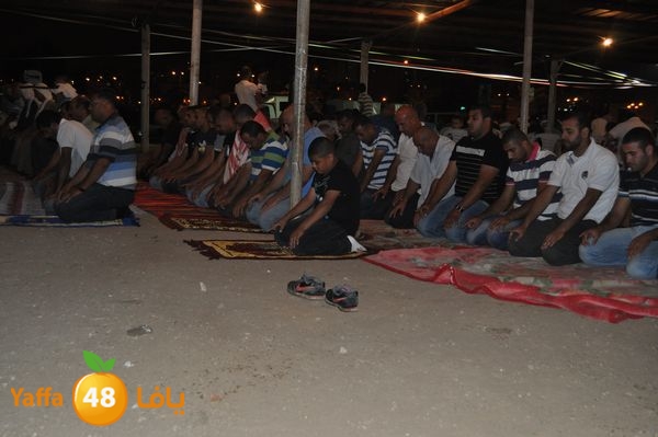 3orsabosyamlud520 (33).JPG